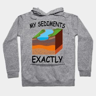 My Sediments Exactly - Funny Geologist Geology T-Shirt Hoodie